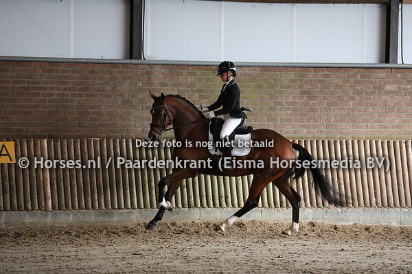 48 Marry Me van de Kerkhoeve