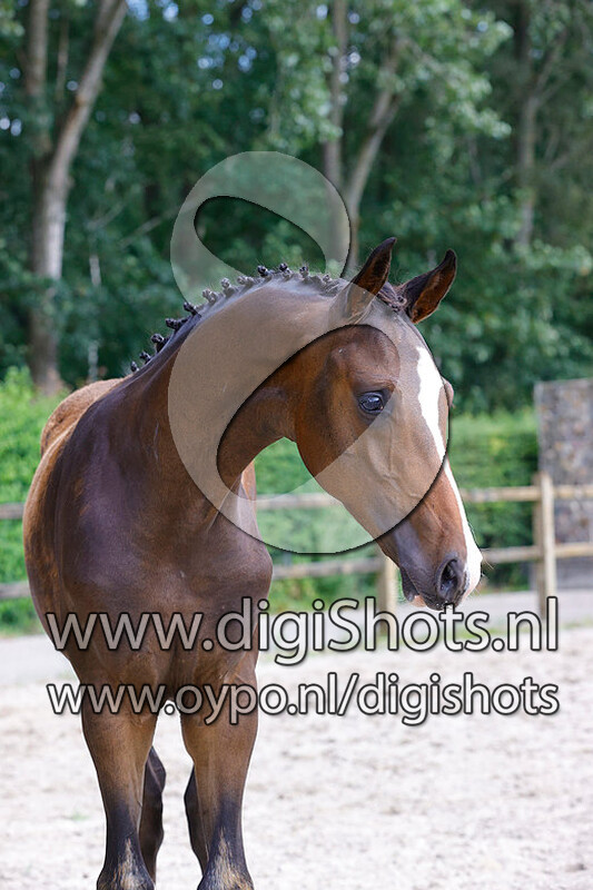 Rain Beau v. So perfect