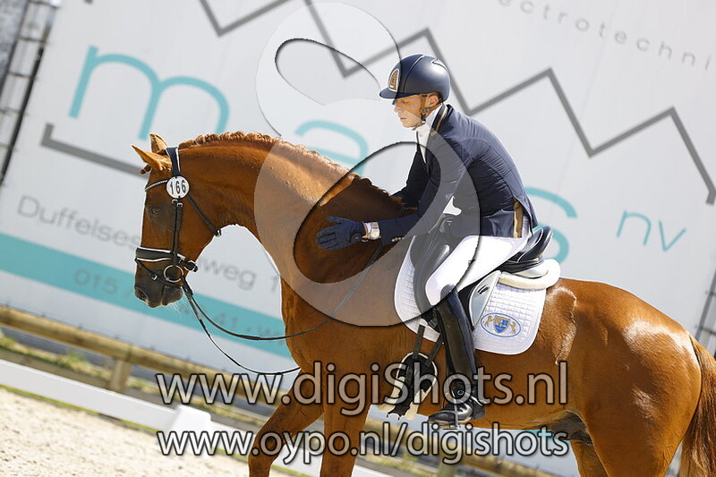 Sandor Hit van t Steenputtenhof