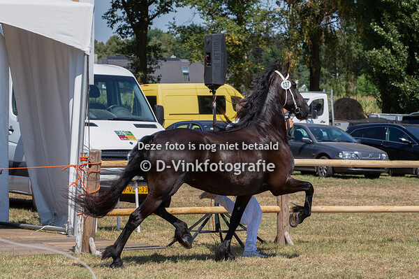 137. Lady-Nora van de Heemstede