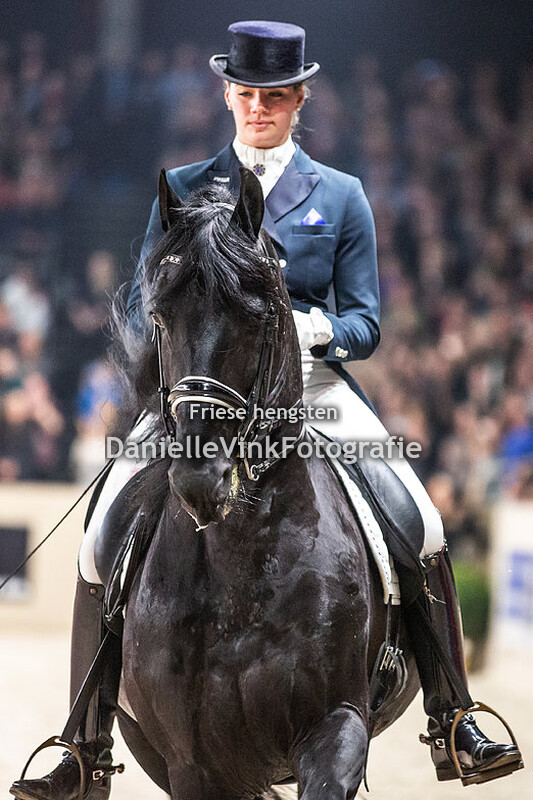Hengstenkeuring 2020 OHZ Haitse 425 Marsja Dijkman