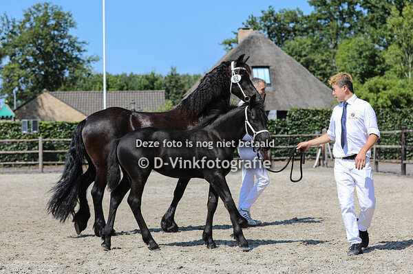 62. Coosje van Molenwaard