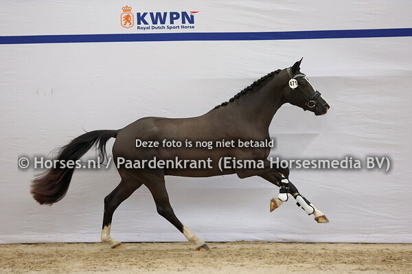 471 Next Level x George Clooney)