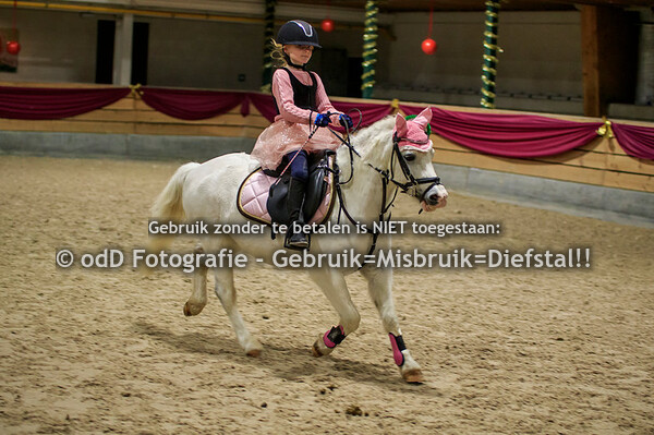 NY Jumping Warredal Pony's balkjes draven en 30-50cm 07-01-22