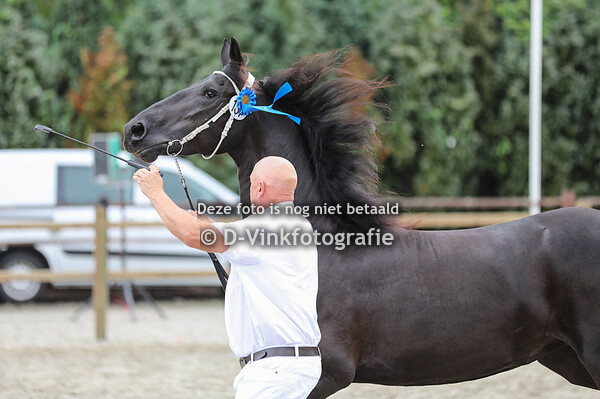 137. Aafke van de Rijsakker