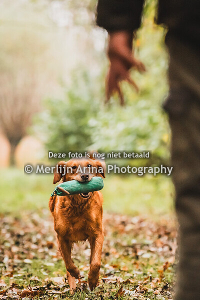 9-11-2024 Apporteerwedstrijd FHN - Oosterhout