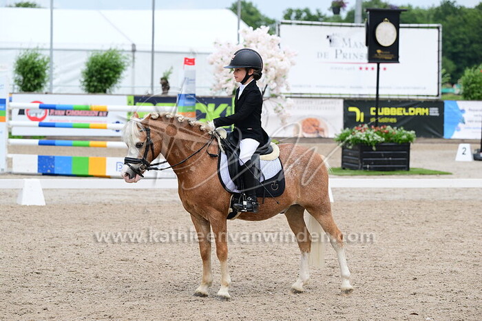 Dani Duijndam - Powys Frenchie