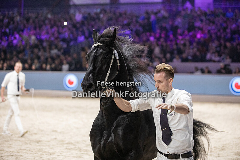 Hengstenkeuring 2024 Manno 541