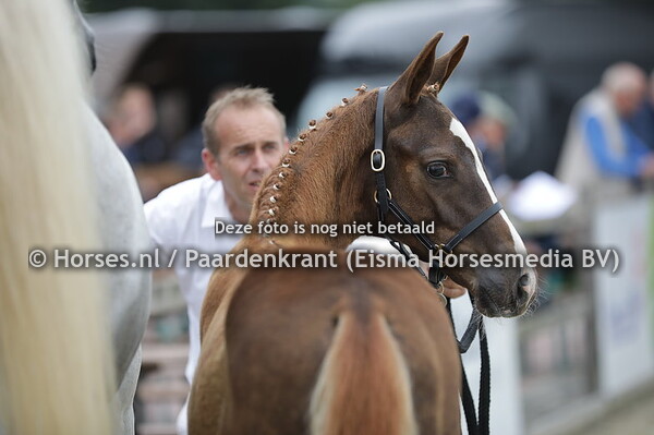 67 Painted White JK (For ferrero x Ziffora v. Polansky)