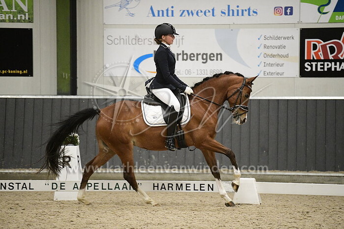 Zenna van Schaick - Starlight