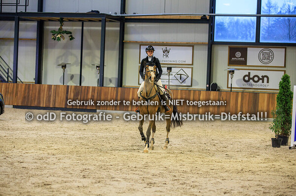 JIL 2025 Paard 100cm 05-01-25