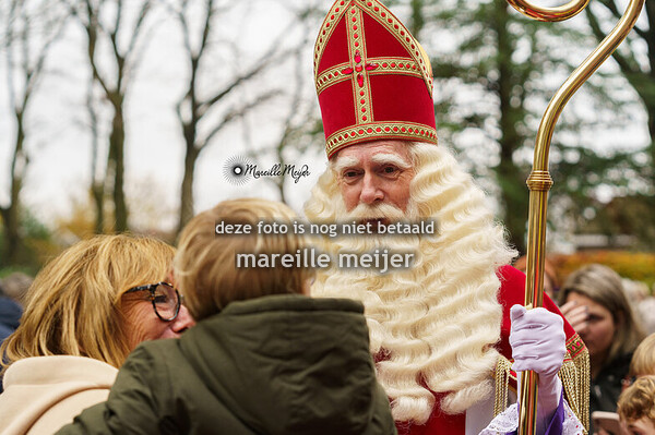 Intocht sinterklaas Hoeven 2025