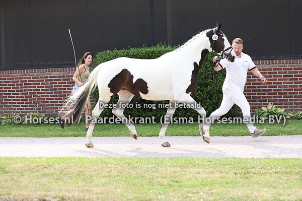 28 Pamukkale of Gold (Night Or Day  x Heart of Gold