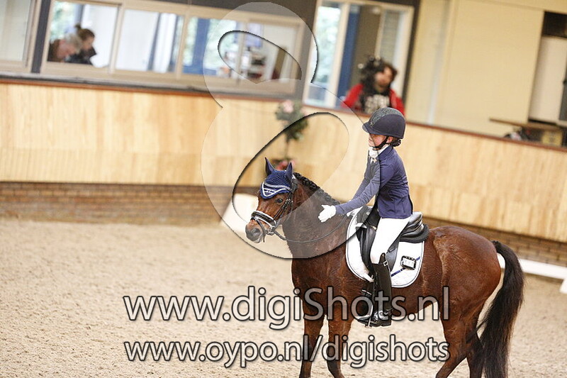 Rosedale Fairy Consort