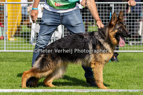 Puppyklasse-(6-9)-Reuen-Teven-L-Reuen