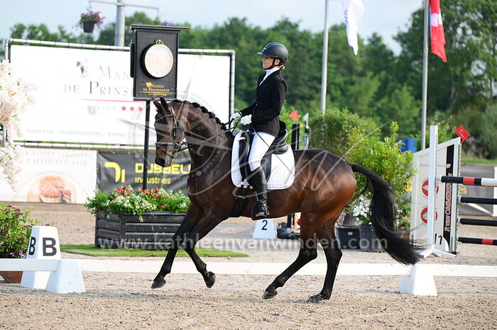 Nienke Huizinga - Phoenix