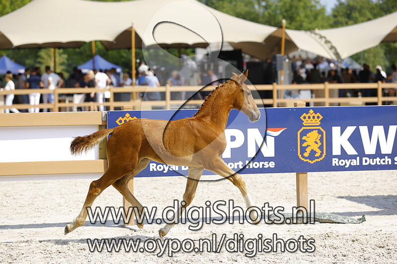 Two June RTS v. Kardieno