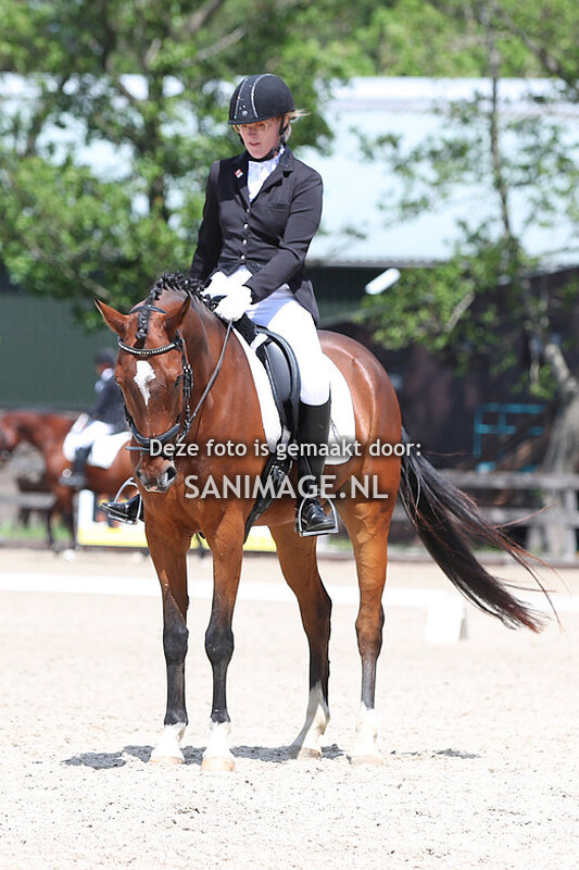 Reigersburgh 27-05-2022 Dressuur Paarden M1/M2