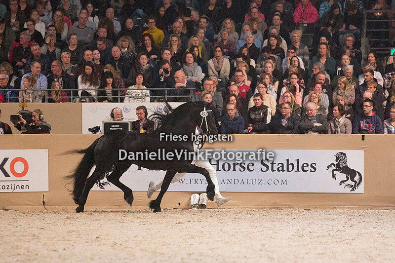 Hengstenkeuring 2018 Omer 493