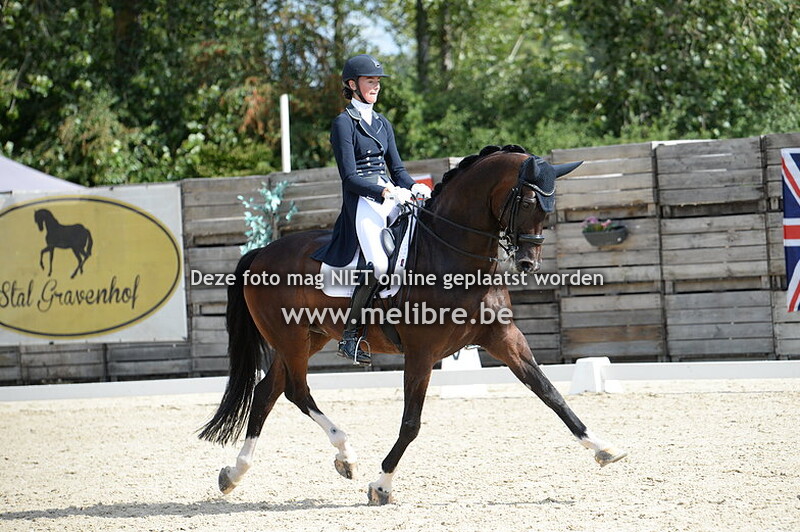 Freestyle Young Riders