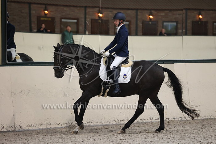 Wouter Sips - Aragon