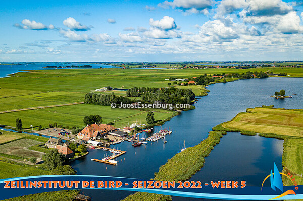 De Bird - Week 5, 2022