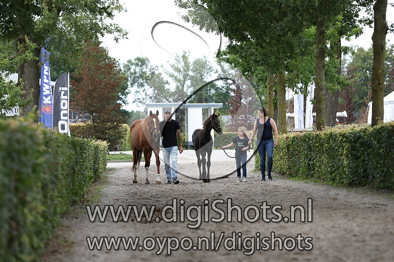 073 Riverdale NA v. Glamourdale