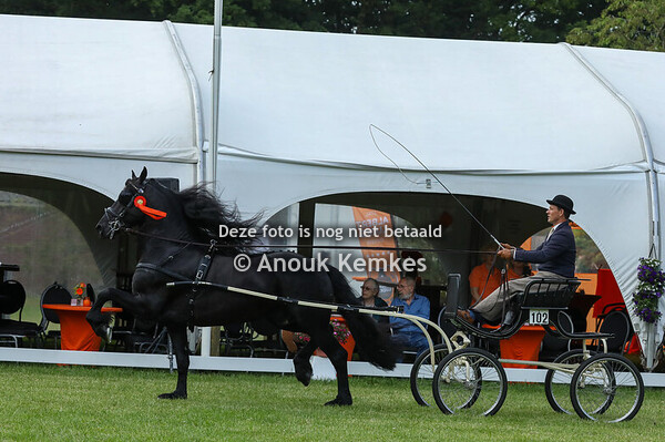 Friezen Limiet Groep 1