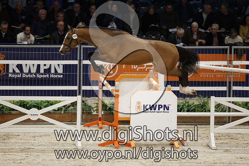 Lone Star VDL Z v. Landino VDL - 100