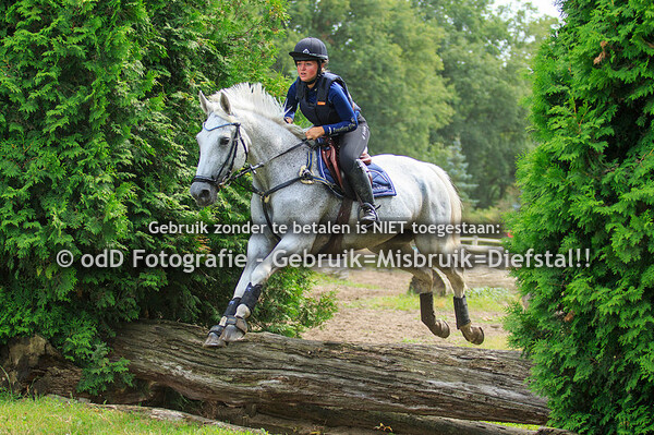 Training Margo, Groep 4, 14:00