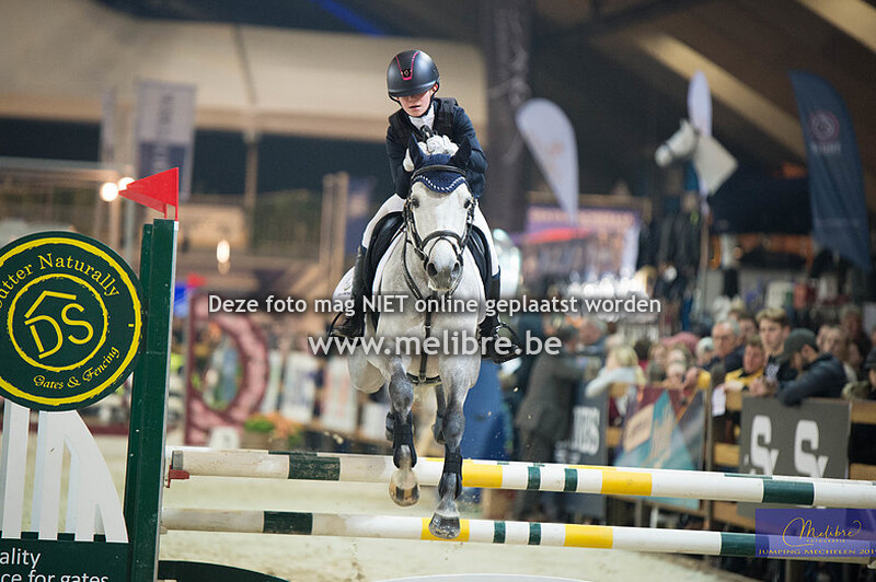 Belgische rijpony groot - Parcours midden