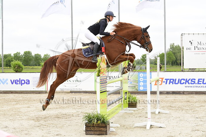 Melanie Stritzke - Maestro