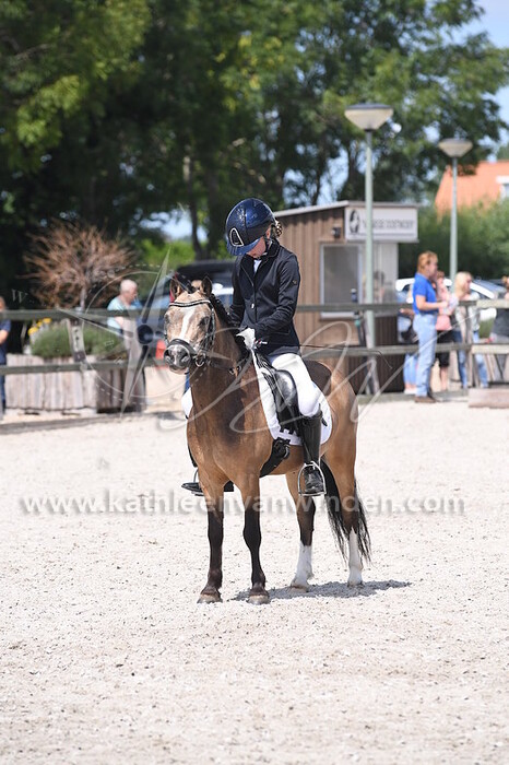 Klasse B pony's cat. BCD