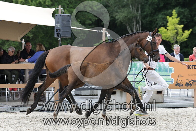 Vergeet Mij Nietje F v. Stedinger
