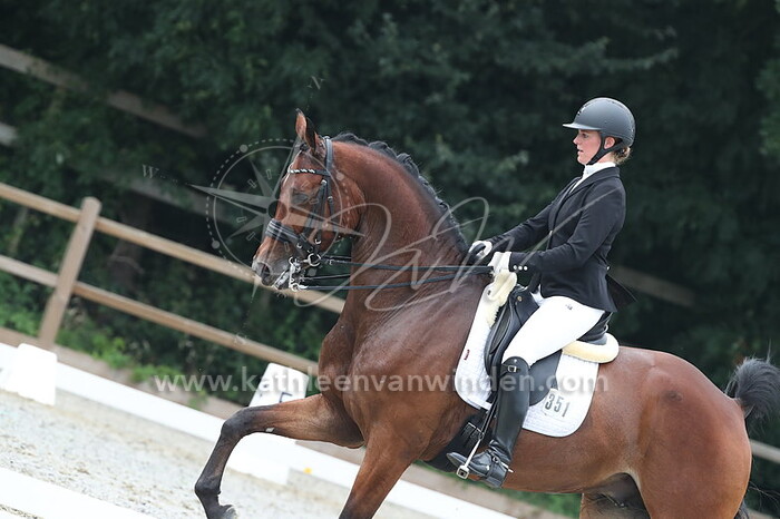 Fransje van der Meer