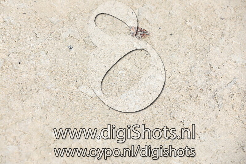 Ring 3 M2 Paarden vanaf 10.55