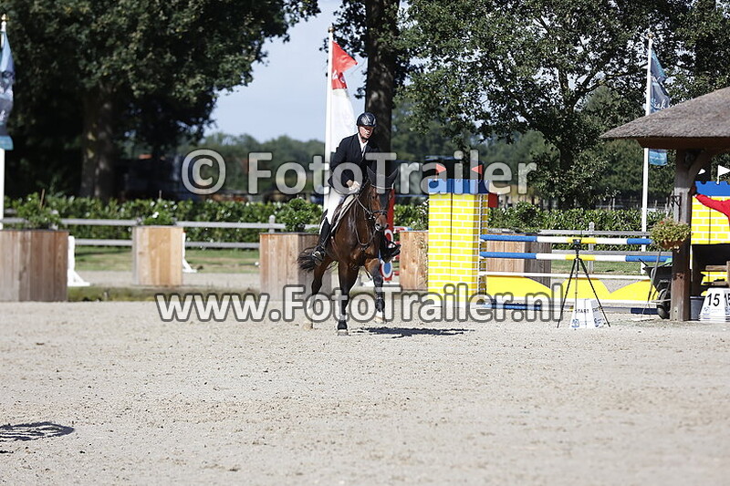 dennis van den brink