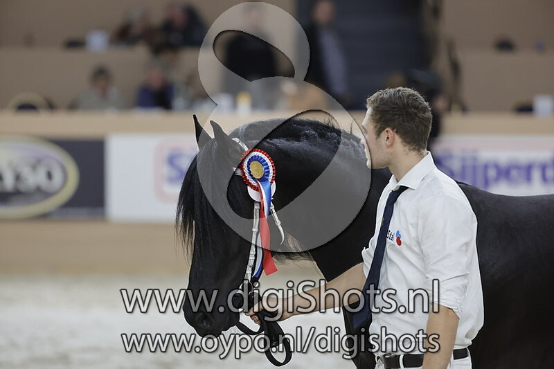 Marijn van de Hofstad v. Jehannes 484 011