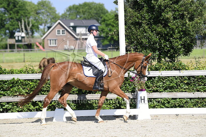 Ziva van Ieperen - Marilyn Monroe B.K.