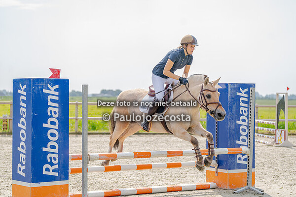 Bucephalus klasse 80 paarden