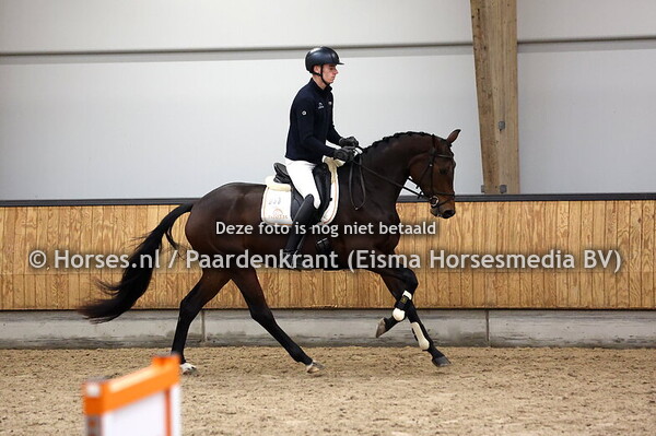 33 Selene B (Spielberg x Geneque v. Florencio)