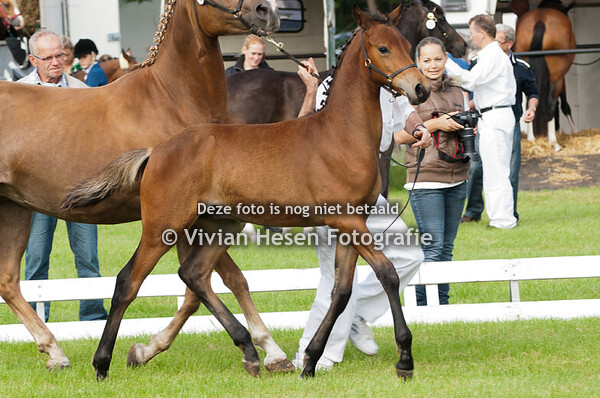 Regionale keuring Sevenum