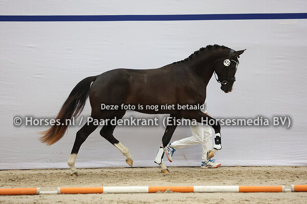 472 (Next Level x Bordeaux)