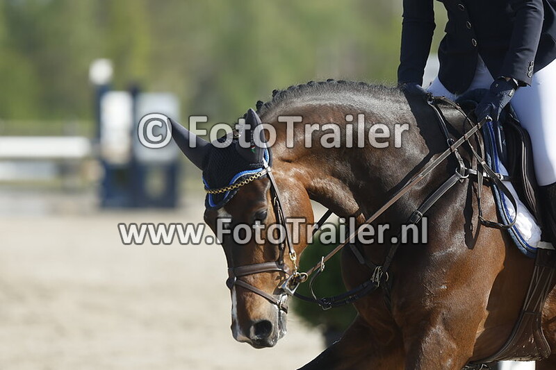 lieke reinders ophof