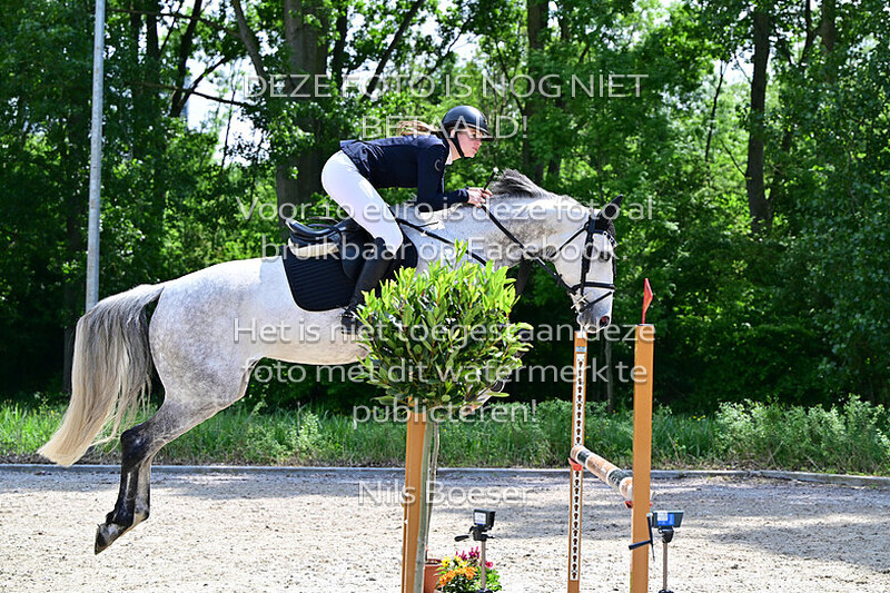 21 2-fasen special paarden 1.10 m