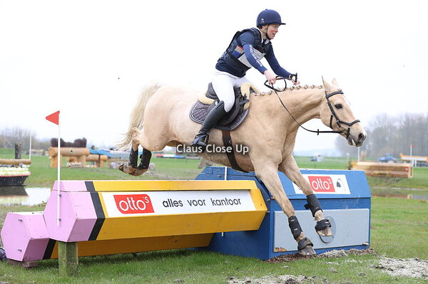 Z Ponies & M-Paarden