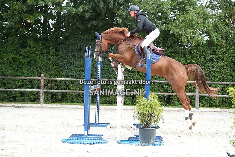 Stal Groenendaal Springen Paarden 01-08-2025 110 cm (ochtend)