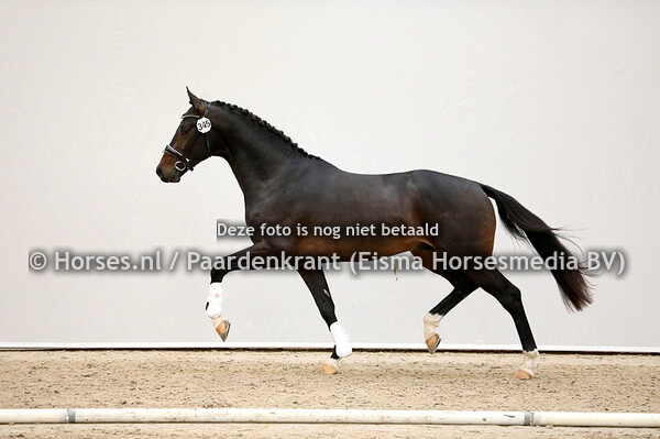 28-11-2020 1e bez KWPN Dressuur