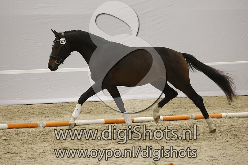 Sinisterra v. Vivaldi