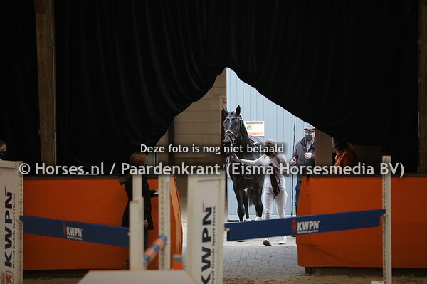 345 (Dettori x Sir Oldenburg)